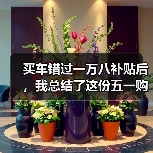 买车错过一万八补贴后,我总结了这份五一购车避坑指南(图2) 买车错过一万八补贴后,我总结了这份五一购车避坑指南(图2)