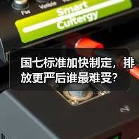 国七标准加快制定,排放更严后谁最难受?(图3) 国七标准加快制定,排放更严后谁最难受?(图3)