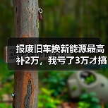 报废旧车换新能源最高补2万,我亏了3万才搞明白这些坑(图2) 报废旧车换新能源最高补2万,我亏了3万才搞明白这些坑(图2)