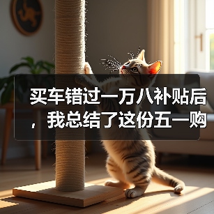 买车错过一万八补贴后,我总结了这份五一购车避坑指南(图4) 买车错过一万八补贴后,我总结了这份五一购车避坑指南(图4)