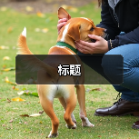 标题(图3) 标题(图3)