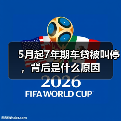 5月起7年期车贷被叫停,背后是什么原因(图4) 5月起7年期车贷被叫停,背后是什么原因(图4)