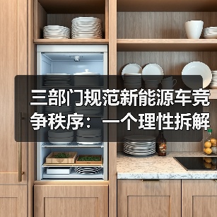 三部门规范新能源车竞争秩序:一个理性拆解(图3) 三部门规范新能源车竞争秩序:一个理性拆解(图3)