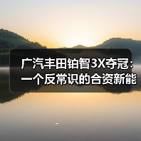 广汽丰田铂智3X夺冠:一个反常识的合资新能源样本(图4) 广汽丰田铂智3X夺冠:一个反常识的合资新能源样本(图4)