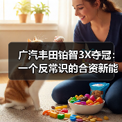 广汽丰田铂智3X夺冠:一个反常识的合资新能源样本(图3) 广汽丰田铂智3X夺冠:一个反常识的合资新能源样本(图3)