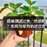 极寒测试过关,然后呢?东风与华为的这次合作不简单(图1) 极寒测试过关,然后呢?东风与华为的这次合作不简单(图1)