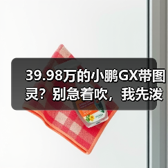 39.98万的小鹏GX带图灵?别急着吹,我先泼盆冷水(图4) 39.98万的小鹏GX带图灵?别急着吹,我先泼盆冷水(图4)