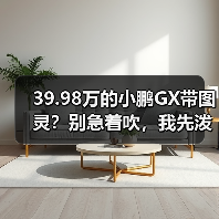 39.98万的小鹏GX带图灵?别急着吹,我先泼盆冷水(图3) 39.98万的小鹏GX带图灵?别急着吹,我先泼盆冷水(图3)