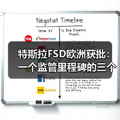 特斯拉FSD欧洲获批:一个监管里程碑的三个不确定面(图4) 特斯拉FSD欧洲获批:一个监管里程碑的三个不确定面(图4)