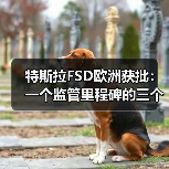 特斯拉FSD欧洲获批:一个监管里程碑的三个不确定面(图1) 特斯拉FSD欧洲获批:一个监管里程碑的三个不确定面(图1)