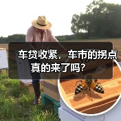 车贷收紧,车市的拐点真的来了吗?(图3) 车贷收紧,车市的拐点真的来了吗?(图3)
