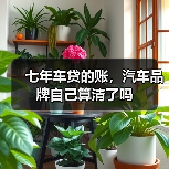七年车贷的账,汽车品牌自己算清了吗(图3) 七年车贷的账,汽车品牌自己算清了吗(图3)