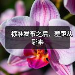 标准发布之后,差距从哪来(图1) 标准发布之后,差距从哪来(图1)