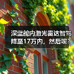 深蓝舱内激光雷达智驾降至17万内,然后呢?(图2) 深蓝舱内激光雷达智驾降至17万内,然后呢?(图2)