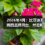 2026年4月:比亚迪五网四品牌同台,然后呢?(图3) 2026年4月:比亚迪五网四品牌同台,然后呢?(图3)