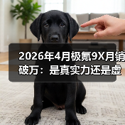 2026年4月极氪9X月销破万:是真实力还是虚火?(图1) 2026年4月极氪9X月销破万:是真实力还是虚火?(图1)