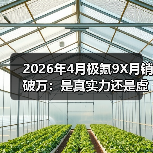 2026年4月极氪9X月销破万:是真实力还是虚火?(图4) 2026年4月极氪9X月销破万:是真实力还是虚火?(图4)