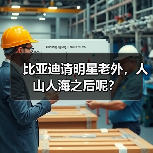 比亚迪请明星老外,人山人海之后呢?(图4) 比亚迪请明星老外,人山人海之后呢?(图4)