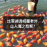 比亚迪请明星老外,人山人海之后呢?(图2) 比亚迪请明星老外,人山人海之后呢?(图2)