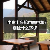 中东土豪抢中国电车?别扯什么环保(图4) 中东土豪抢中国电车?别扯什么环保(图4)