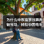 为什么中东富豪放弃奔驰宝马,转投中国电车?(图4) 为什么中东富豪放弃奔驰宝马,转投中国电车?(图4)