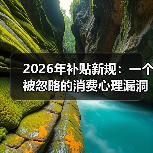 2026年补贴新规:一个被忽略的消费心理漏洞(图3) 2026年补贴新规:一个被忽略的消费心理漏洞(图3)