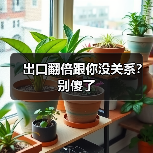 出口翻倍跟你没关系?别傻了(图4) 出口翻倍跟你没关系?别傻了(图4)