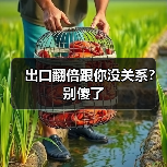 出口翻倍跟你没关系?别傻了(图3) 出口翻倍跟你没关系?别傻了(图3)